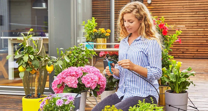 Gartenpflege für Unternehmen: Außenanlagen sicher und gepflegt organisieren