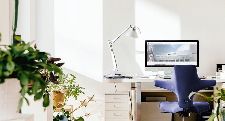 Homeoffice richtig gestalten – produktiv, gesund & ergonomisch arbeiten
