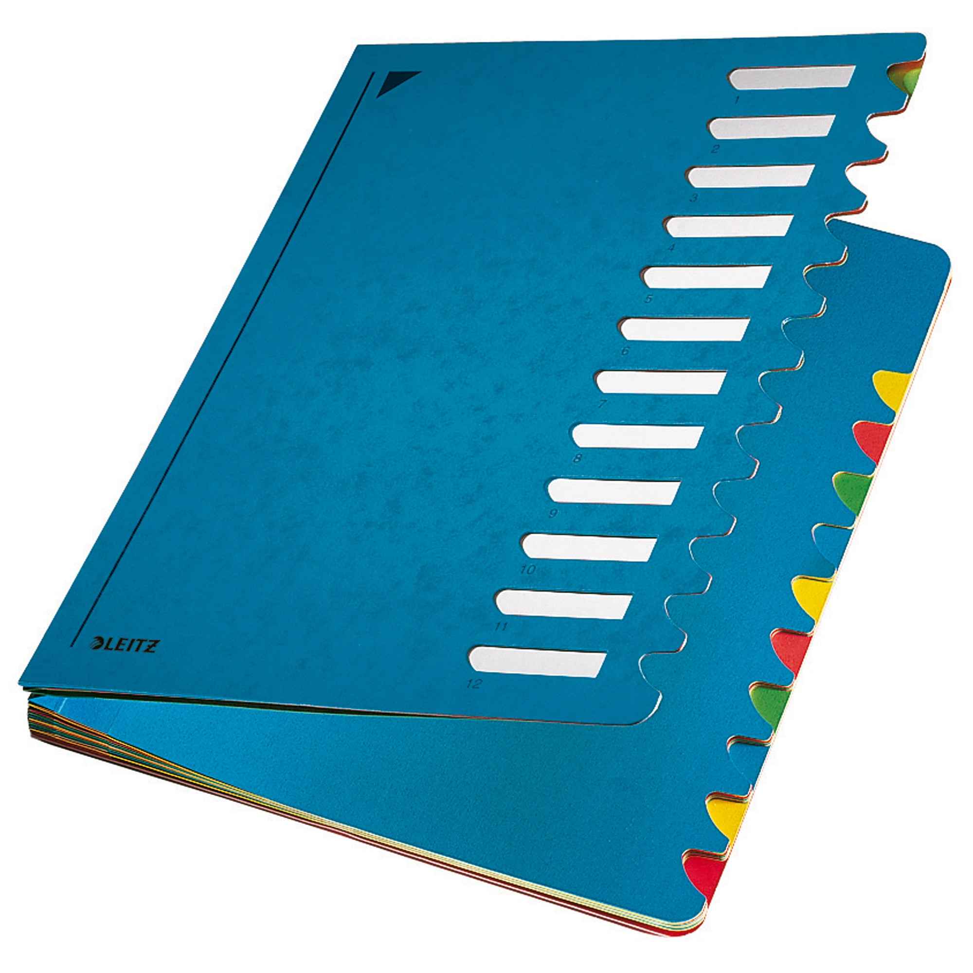 Leitz Ordnungsmappe Deskorganizer Color 12 Fächer
