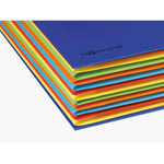 PAGNA Ordnungsmappe Deskorganizer Premium 12 Fächer