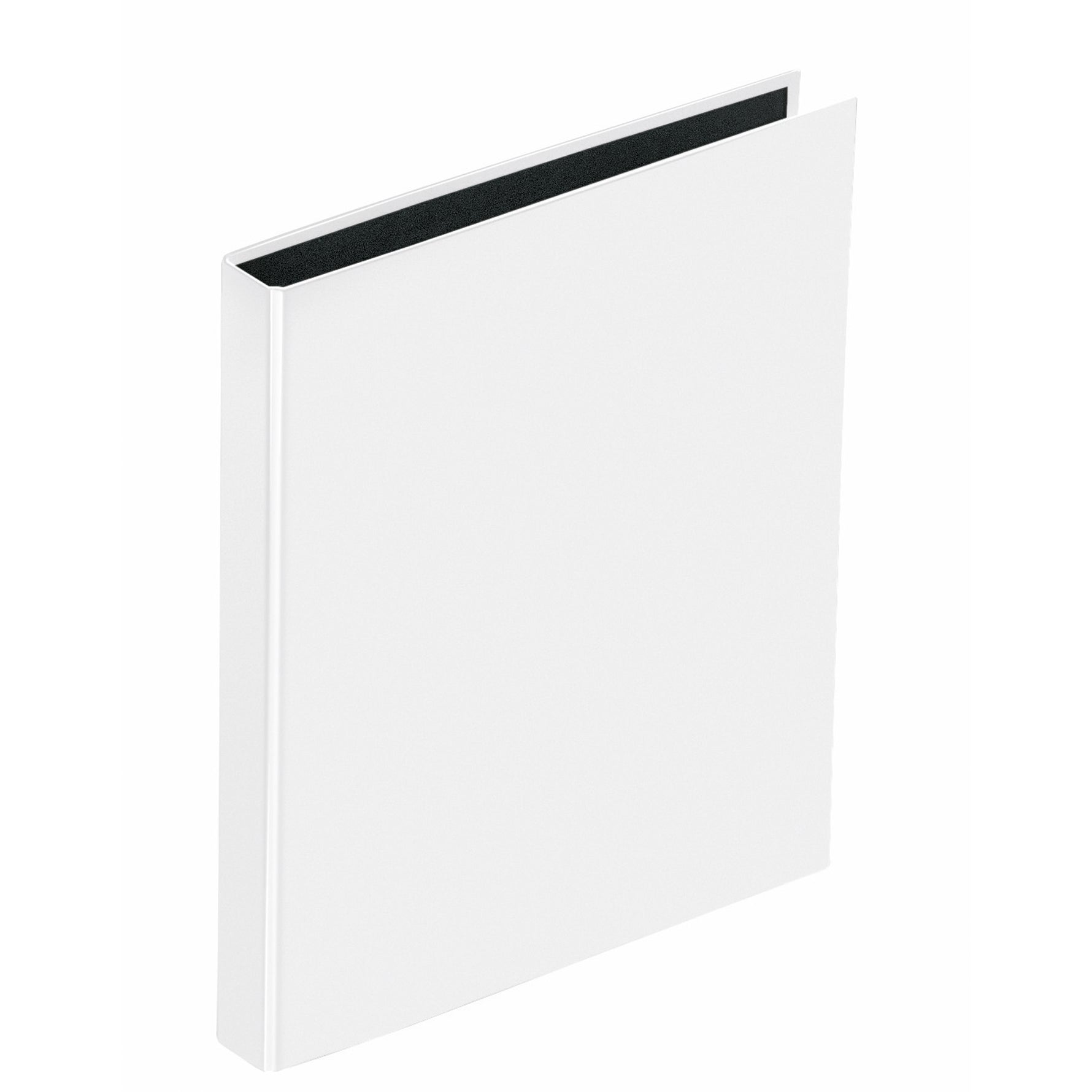 PAGNA Ringbuch Basic Colours DIN A4 2 Ringe, Rundmechanik - Wiepa Bürofachpartner