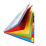 PAGNA Ordnungsmappe Deskorganizer Premium 12 Fächer