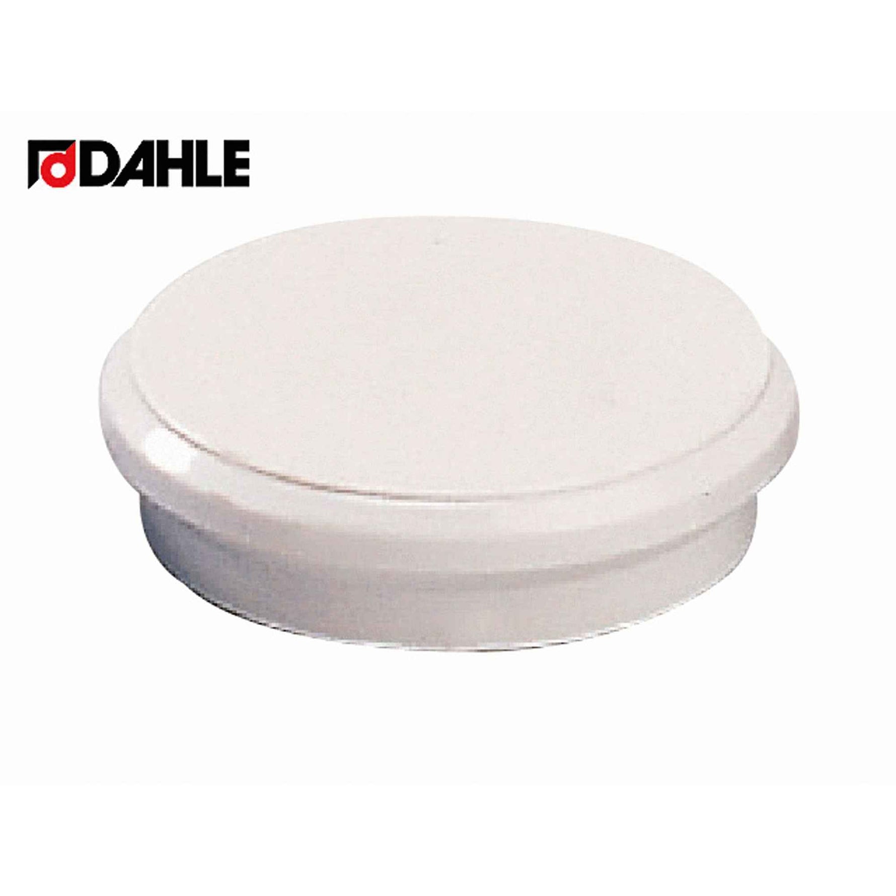 DAHLE Magnet 10 St./Pack.