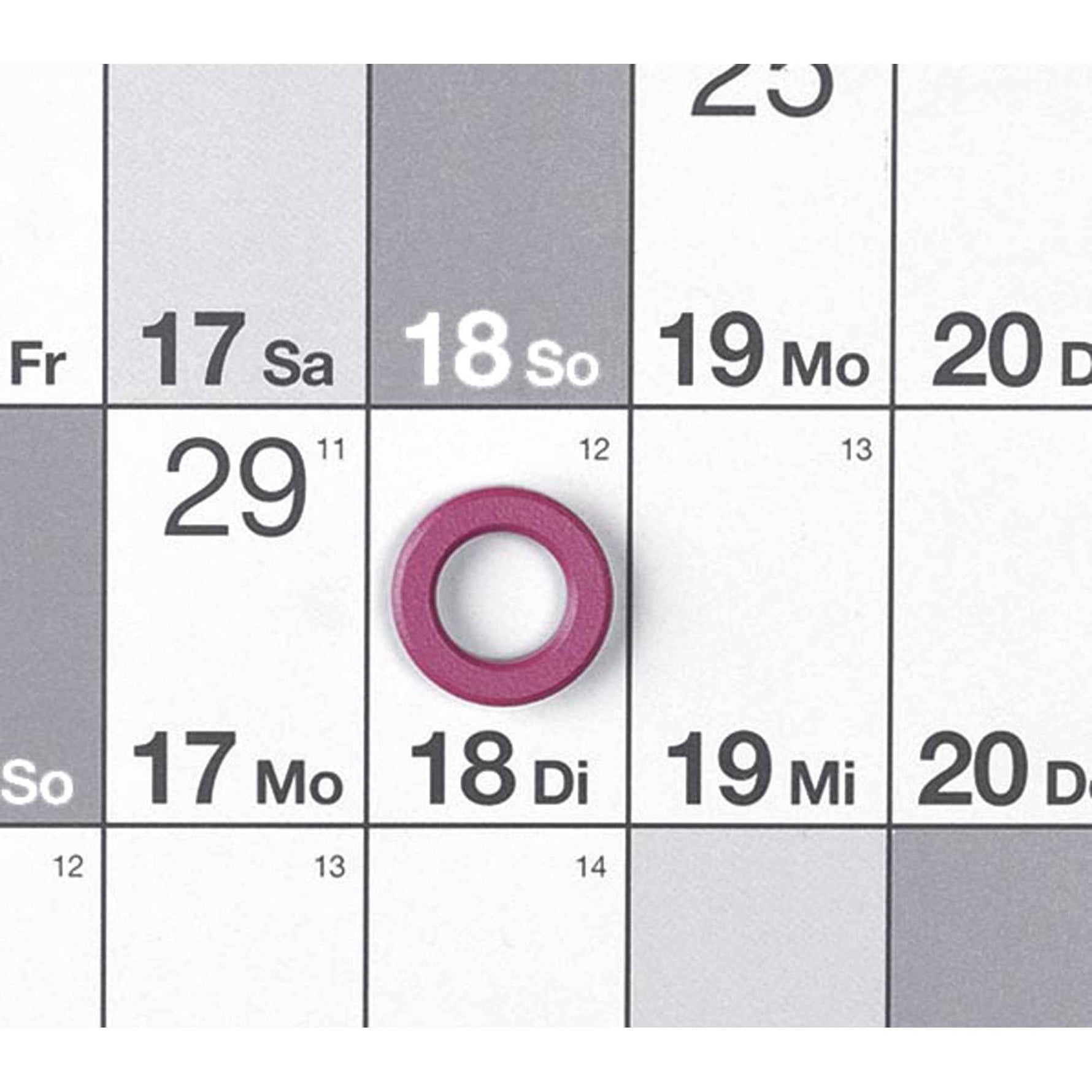 magnetoplan® Projektplanungstafel