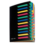 PAGNA Ordnungsmappe Deskorganizer Classic 12 Fächer