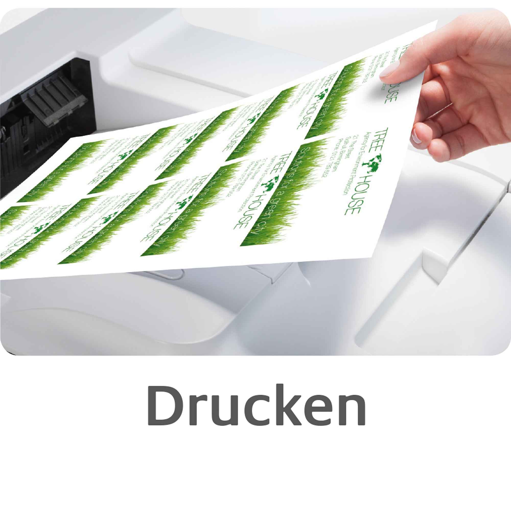 Bild-Alt-Text