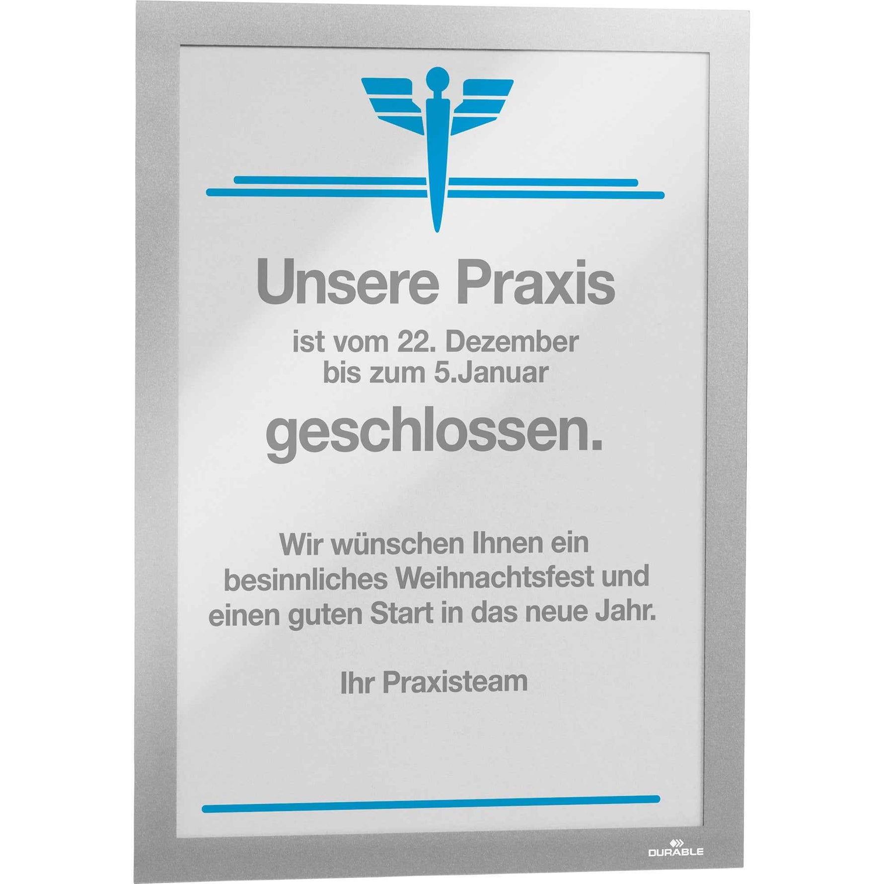DURABLE Magnetrahmen DURAFRAME® DIN A4 2 St./Pack.