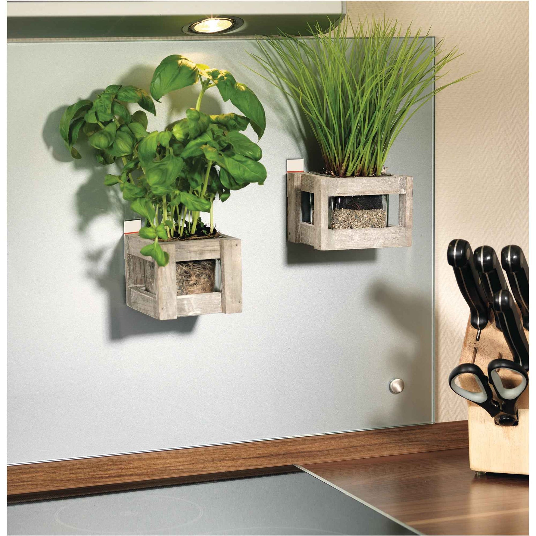 tesa® Klebepad Powerstrips® Large