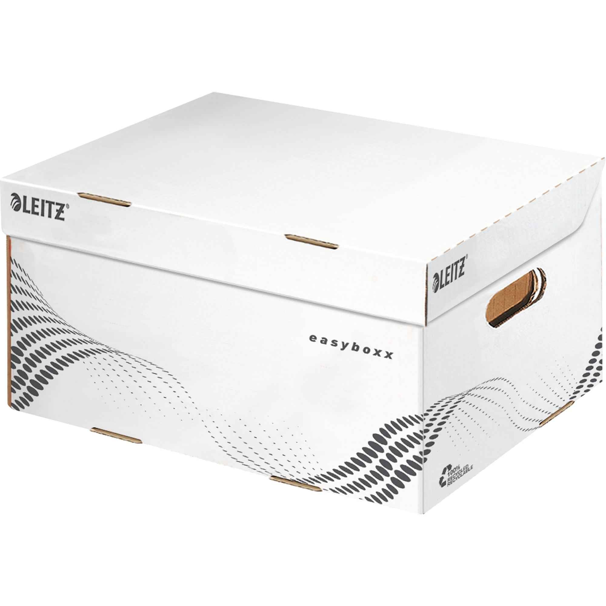 Leitz Archivbox easyboxx S