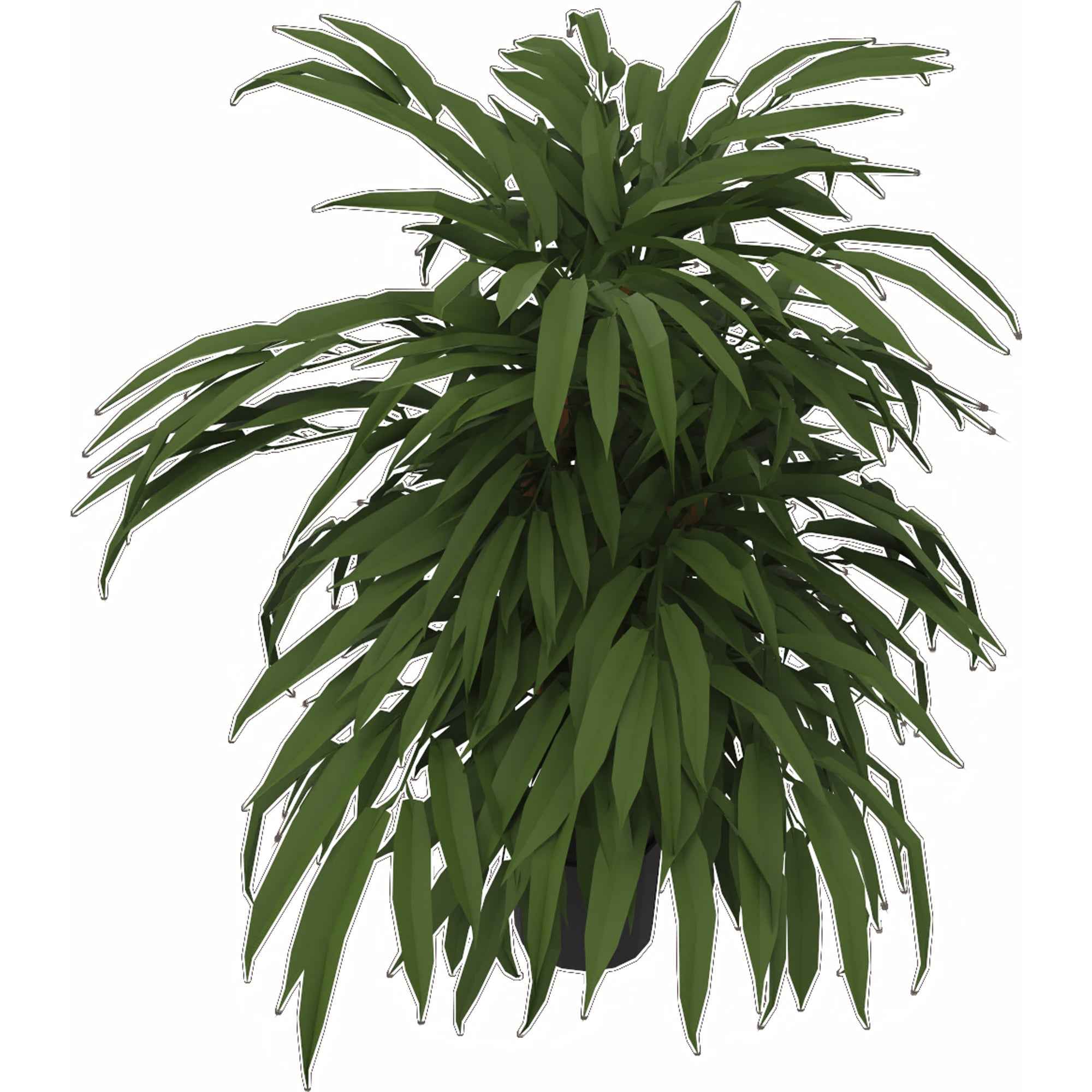 Kunstpflanze Ficus