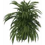 Kunstpflanze Ficus