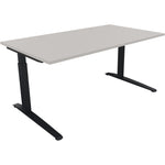 Neutralware Schreibtisch all in one 1.600 x 650-850 x 900 mm (B x H x T) Flachkufe Quadratrohr lichtgrau
