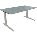 Neutralware Schreibtisch all in one 1.600 x 650-850 x 900 mm (B x H x T) Flachkufe Quadratrohr beton hell – Produktbild