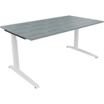 Neutralware Schreibtisch all in one 1.600 x 650-850 x 900 mm (B x H x T) Flachkufe Quadratrohr beton hell – Produktbild