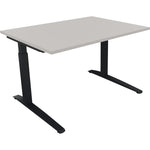 Neutralware Schreibtisch all in one 1.200 x 650-850 x 900 mm (B x H x T) Flachkufe Quadratrohr lichtgrau