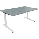 Neutralware Schreibtisch all in one 1.600 x 650-850 x 1.000 mm (B x H x T) Flachkufe Quadratrohr beton hell –