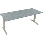 Neutralware Schreibtisch all in one 2.000 x 650-850 x 700 mm (B x H x T) Flachkufe Quadratrohr beton hell – Produktbild