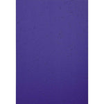 Exacompta Einbanddeckel EVERCOVER 100 St./Pack.