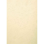 Exacompta Einbanddeckel EVERCOVER 100 St./Pack.