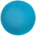 Leitz Sitzball Ergo Cosy
