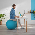 Leitz Sitzball Ergo Cosy