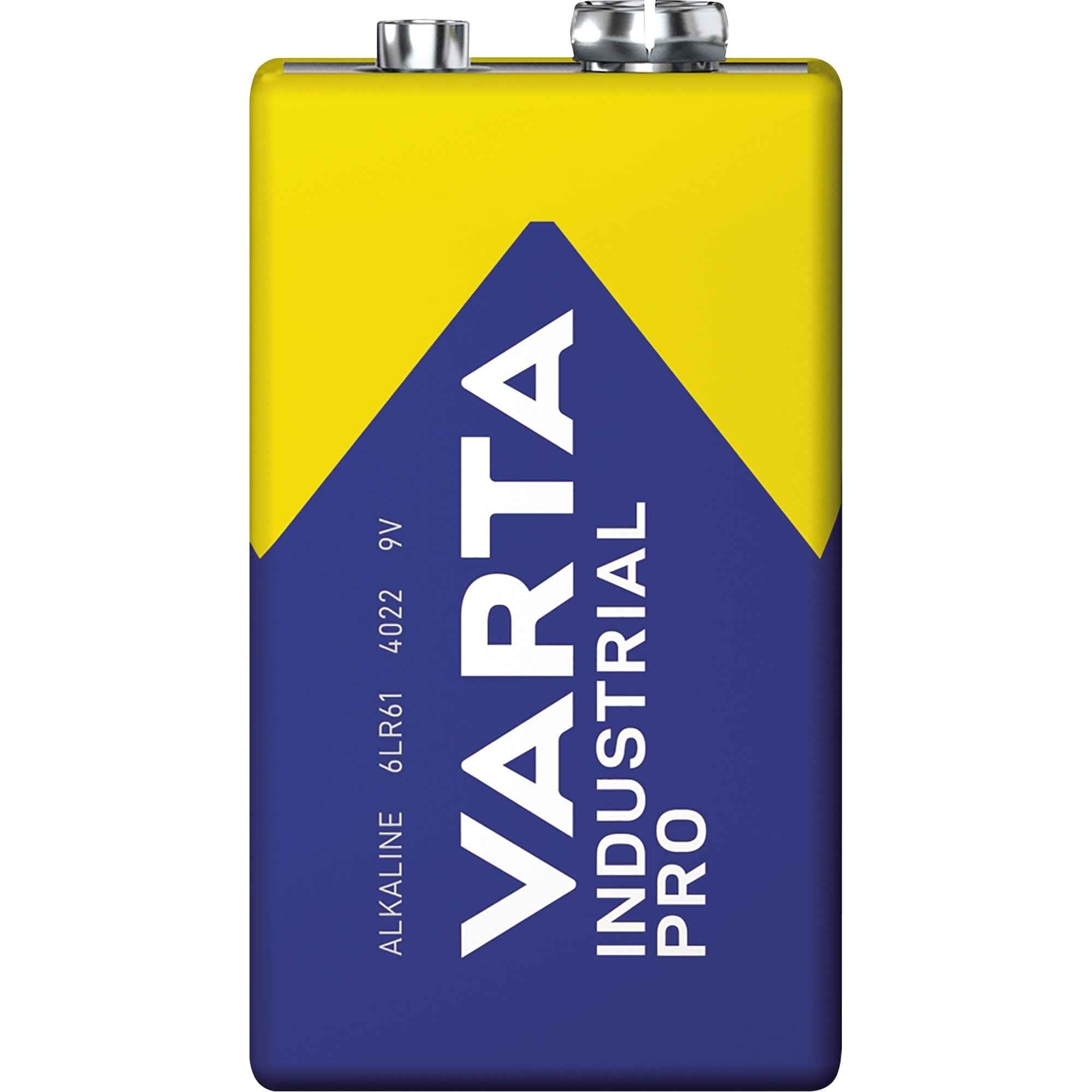 Varta Batterie INDUSTRIAL PRO E-Block