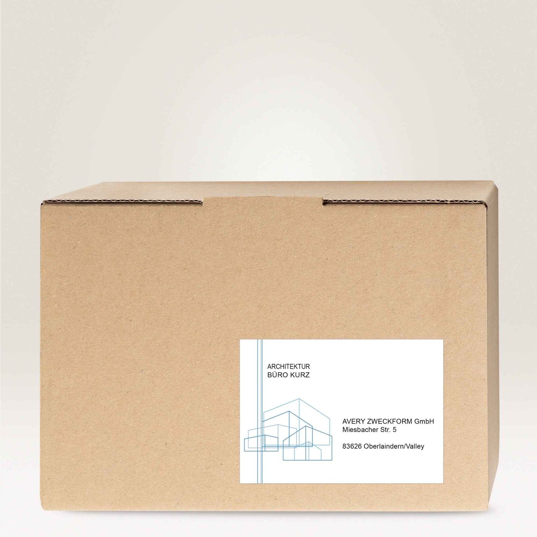 Avery Zweckform Universaletikett ultragrip SPARPACK 50 + 15 Blatt 210 x 148 mm (B x H)