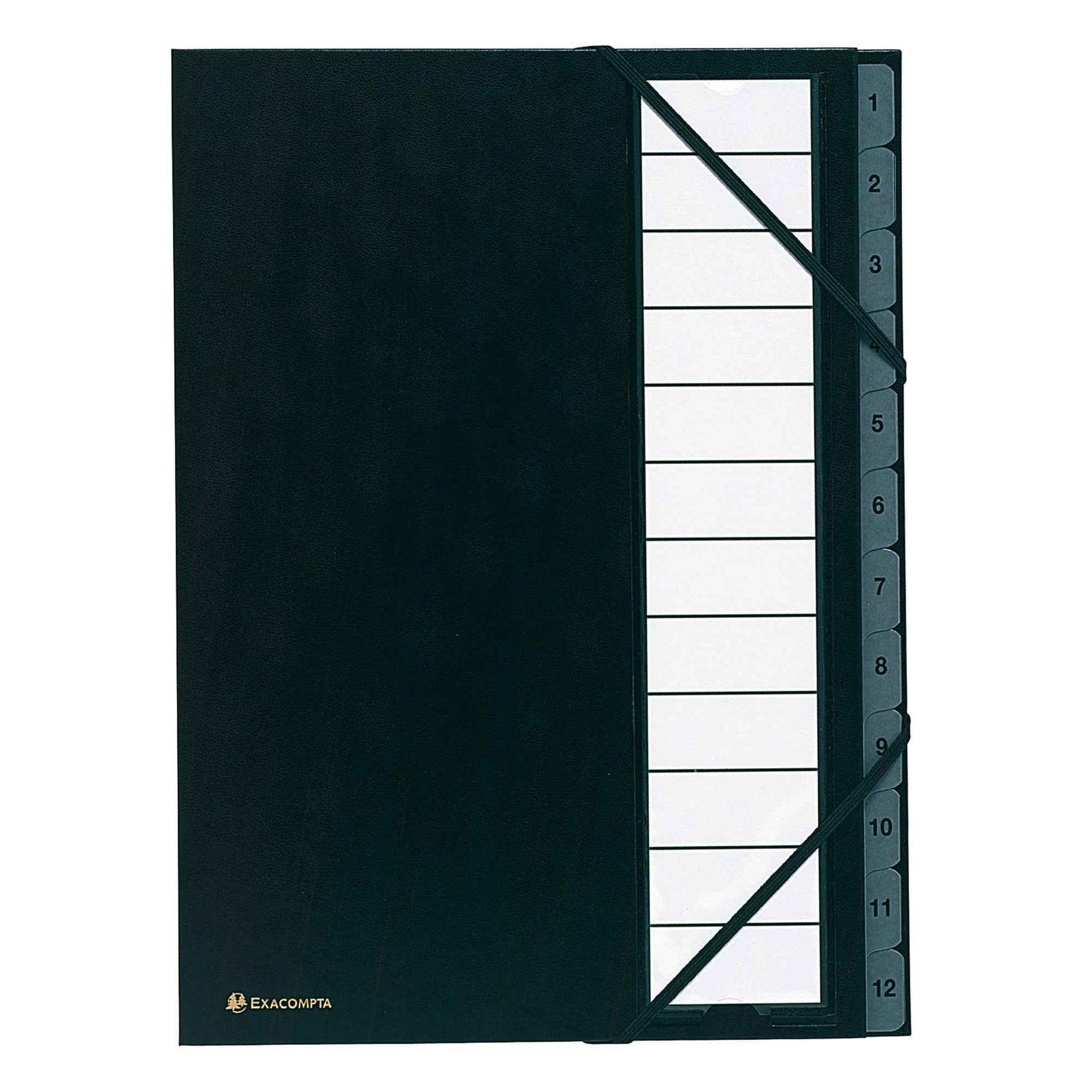 Exacompta Ordnungsmappe Ordonator® 12 Fächer