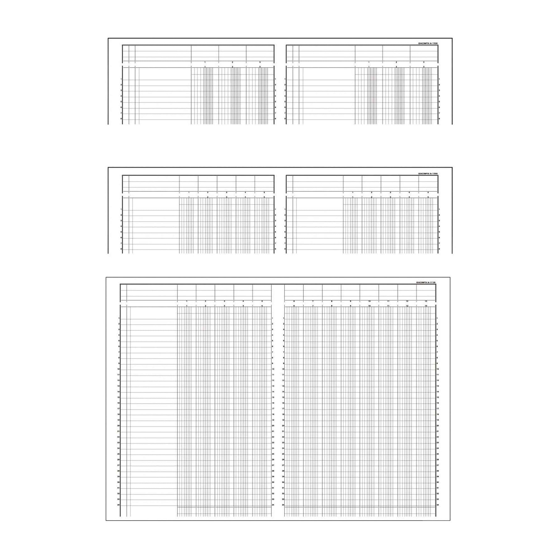 Exacompta Kolonnenbuch 2 Seiten