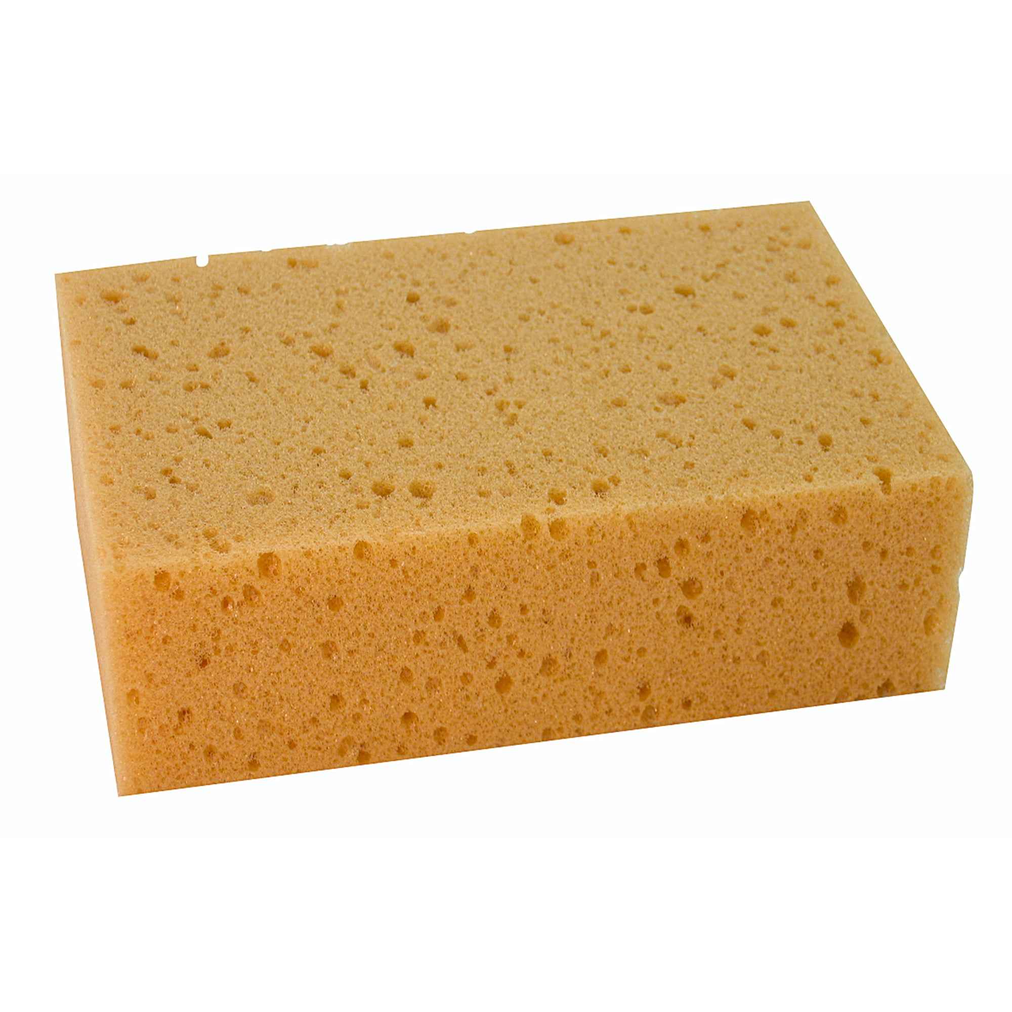 Reinigungsschwamm