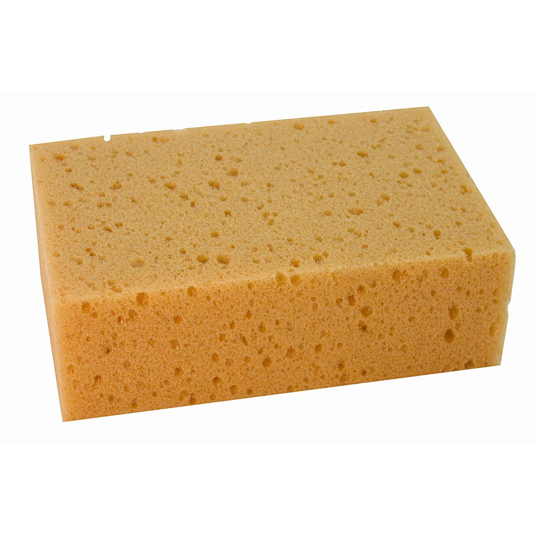 Reinigungsschwamm