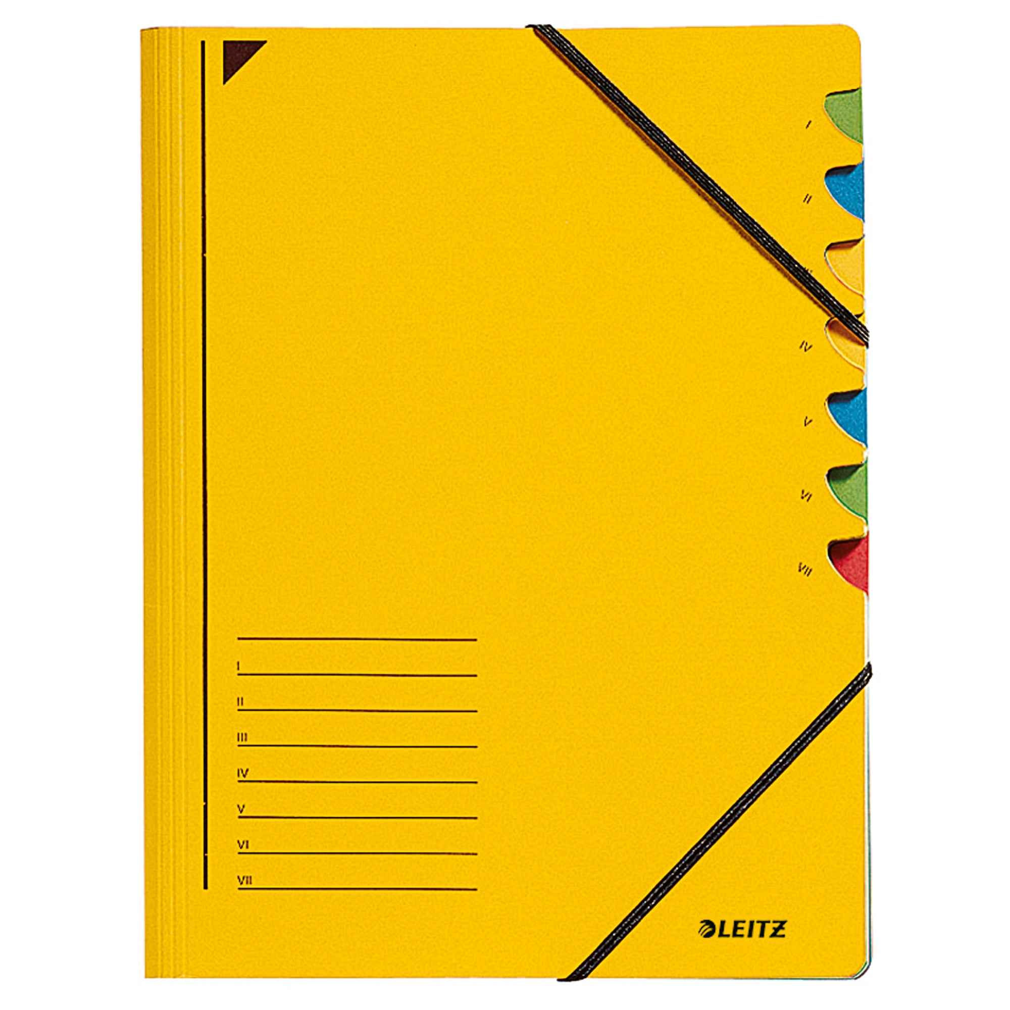 Leitz Ordnungsmappe 7 Fächer