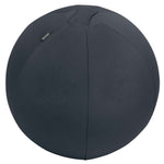 Leitz Sitzball Ergo Active 65 cm