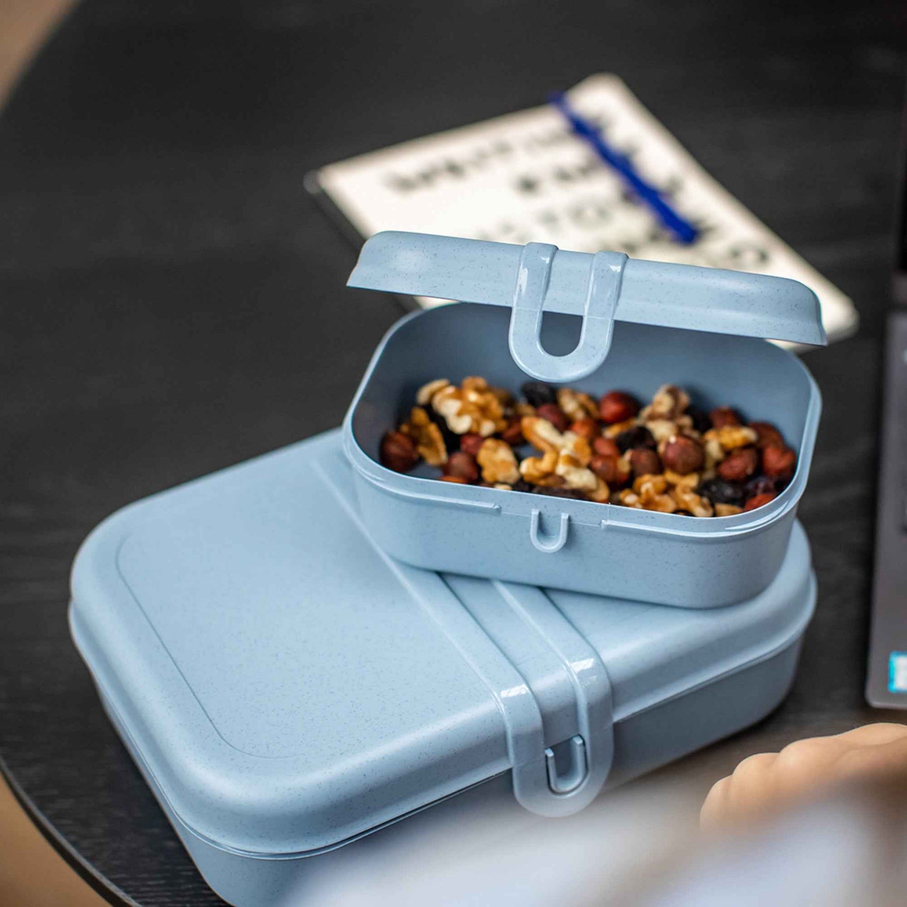 Koziol Lunchbox PASCAL READY