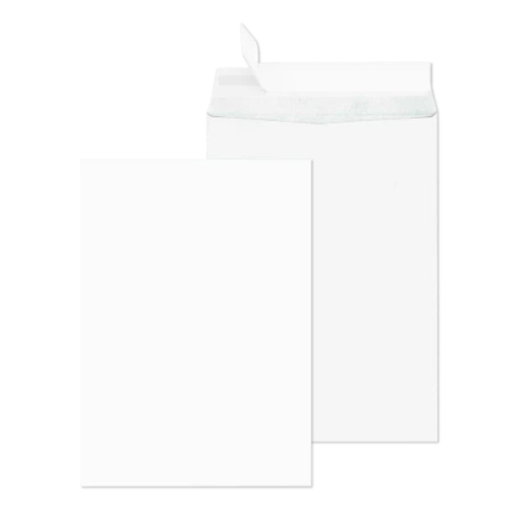 SECURITEX® Versandtasche DIN C4 ohne Fenster 100 St./Pack. - Wiepa Bürofachpartner