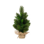 EVERLANDS Weihnachtsbaum Edmonton Spruce