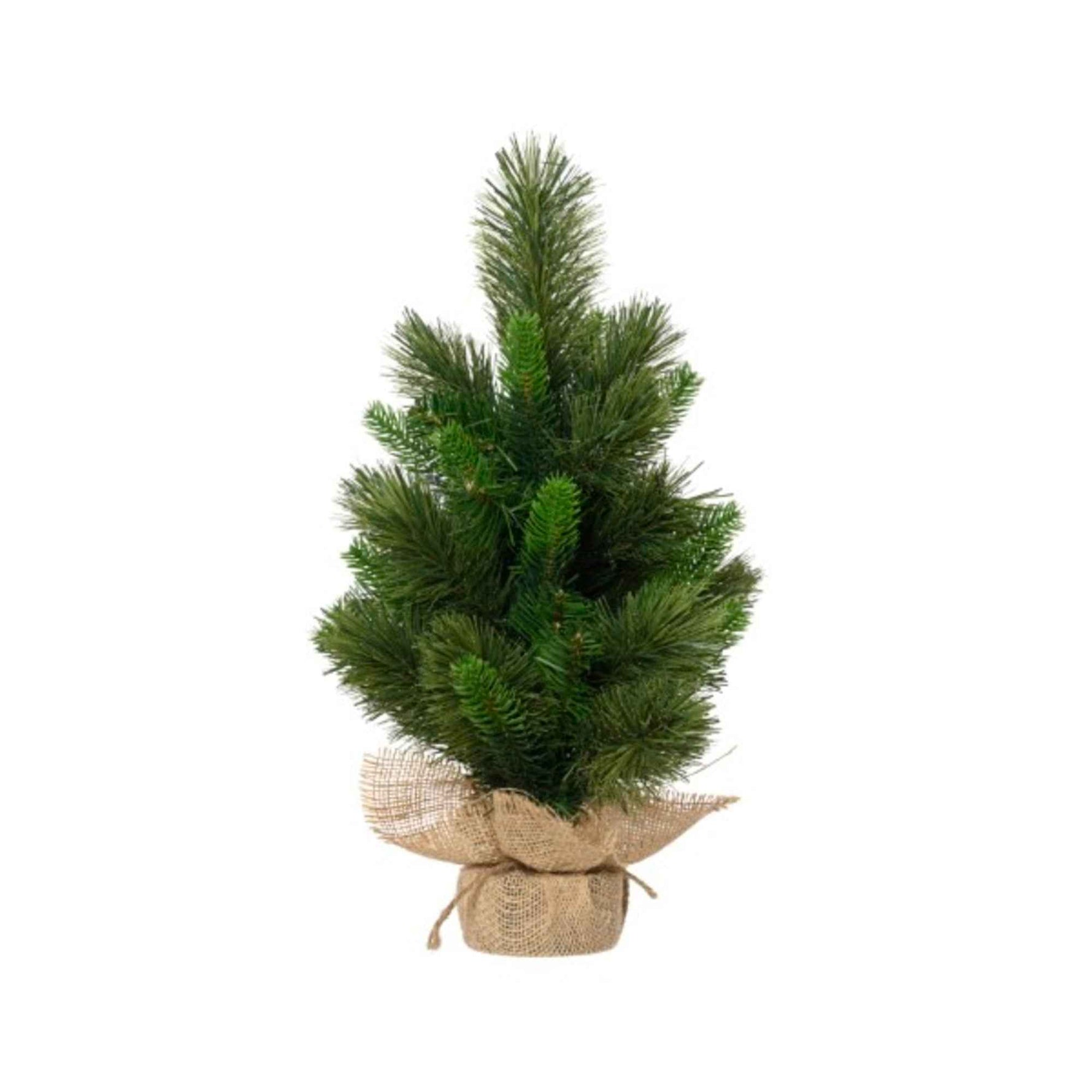 EVERLANDS Weihnachtsbaum Edmonton Spruce