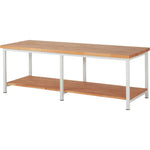 RAU Werkbank 8000 2.500 x 840-1.040 x 900 mm (B x H x T)