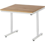 RAU Arbeitstisch Adlatus 150 1.000 x 720-1.120 x 1.000 mm (B x H x T)