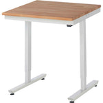 RAU Arbeitstisch Adlatus 150 750 x 720-1.120 x 800 mm (B x H x T)