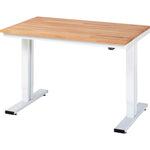 RAU Arbeitstisch Adlatus 300 1.250 x 720-1.120 x 800 mm (B x H x T)
