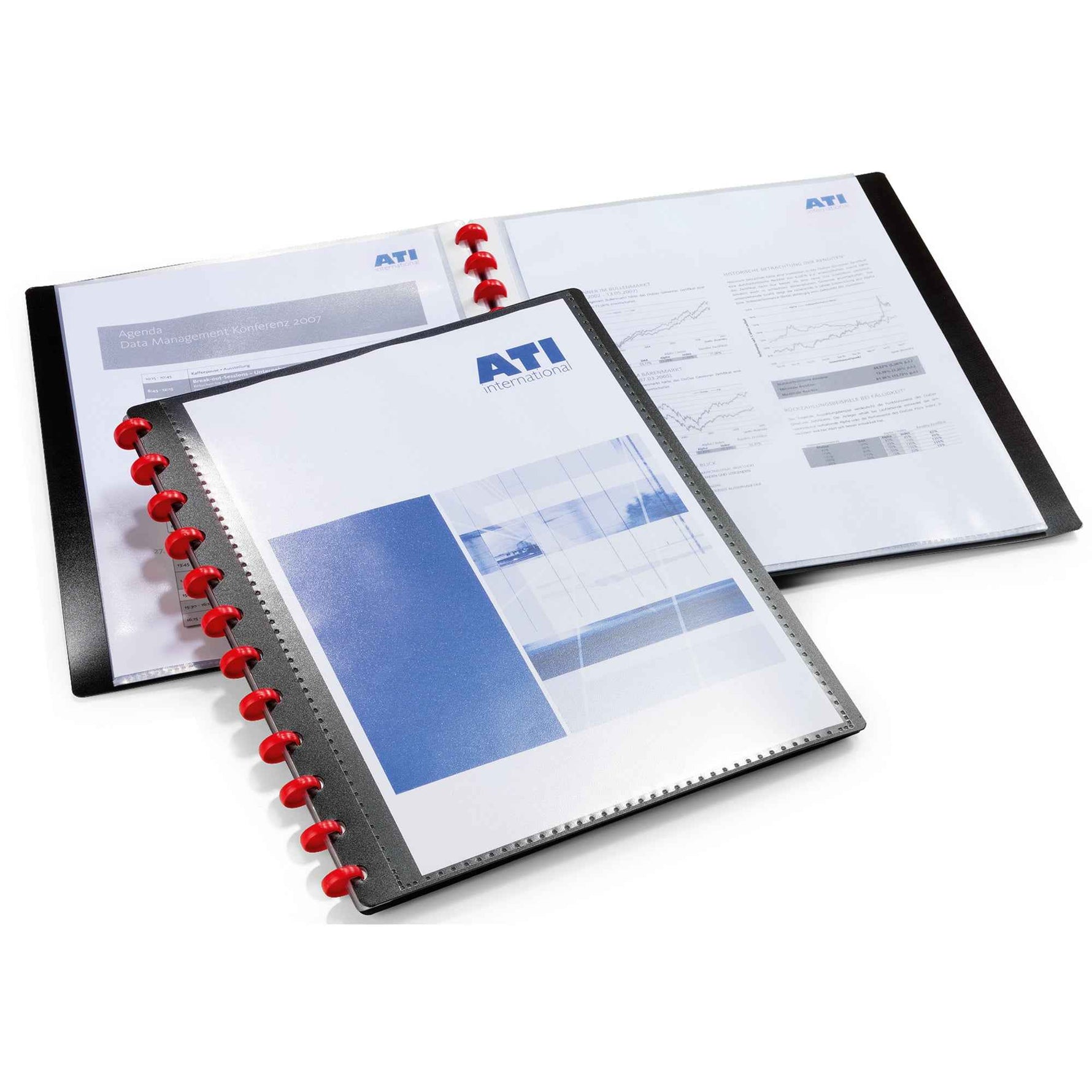 DURABLE Sichtbuch DURALOOK® EASY PLUS