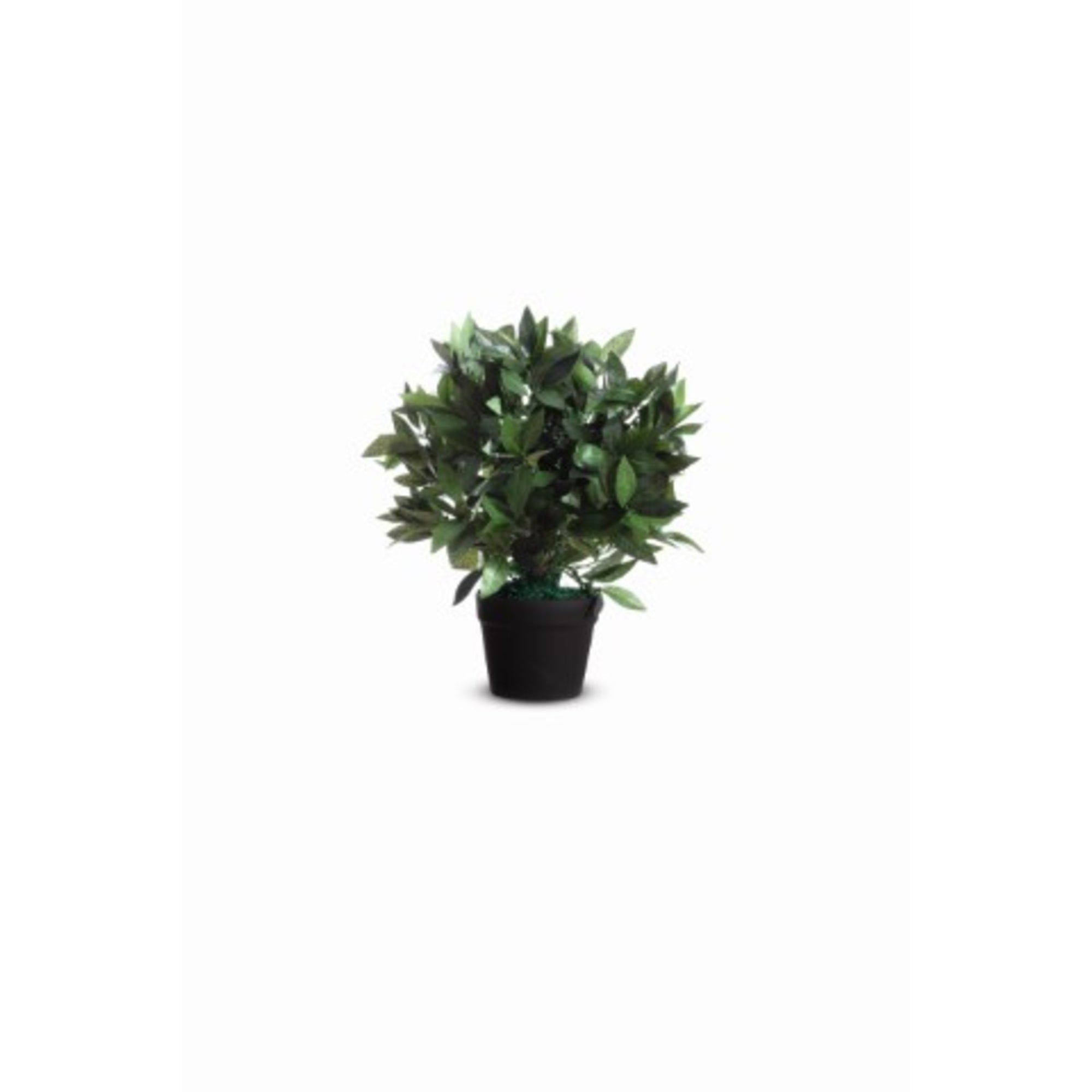 Paperflow Kunstpflanze Loorbeerbaum - Wiepa Bürofachpartner