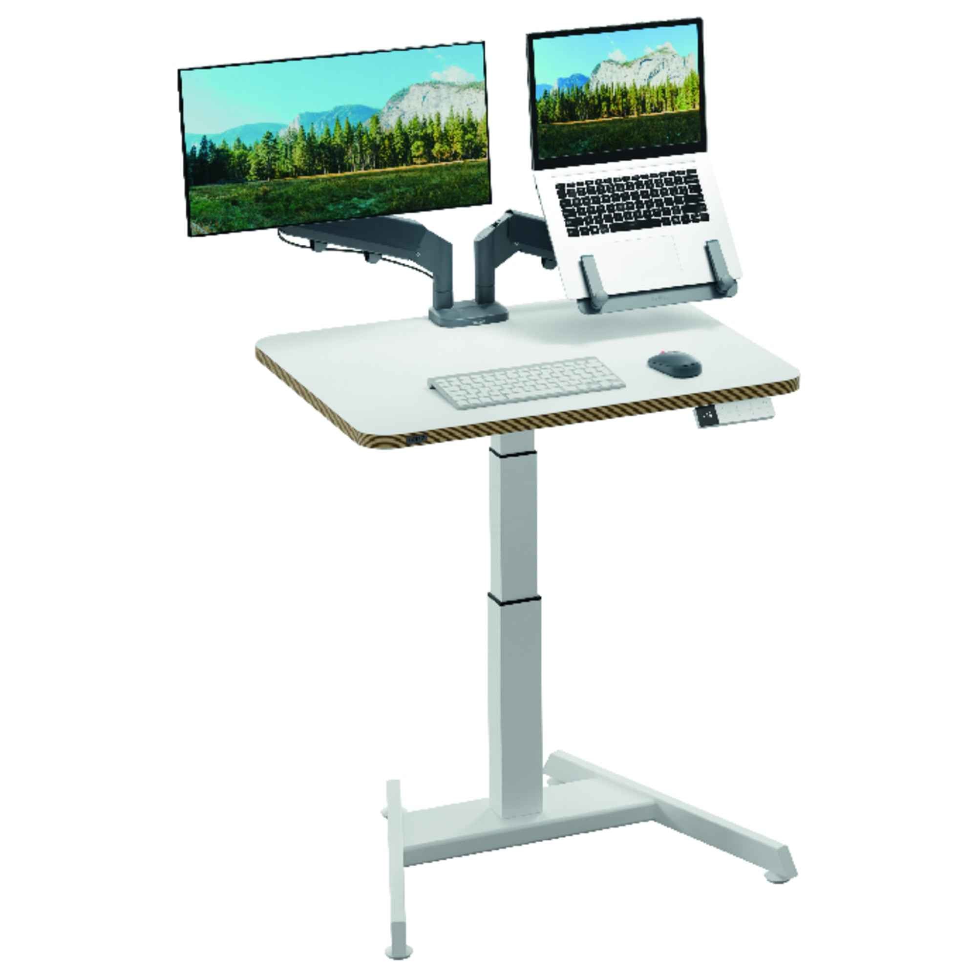 Leitz Schreibtisch Ergo 800 x 650-1.300 x 600 mm (B x H x T) elektronisch