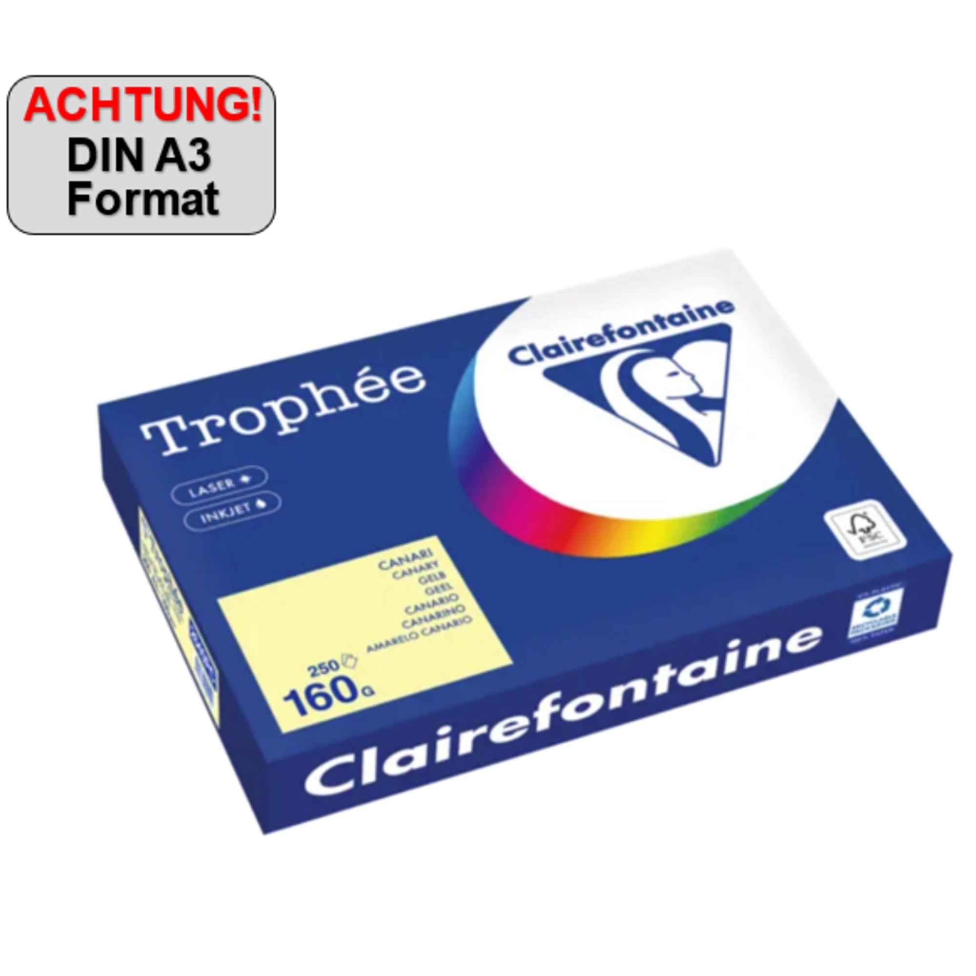 Clairefontaine Kopierpapier Trophée Color DIN A3 160 g/m² 250 Bl./Pack.