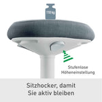 Leitz Sitzhocker Ergo Active