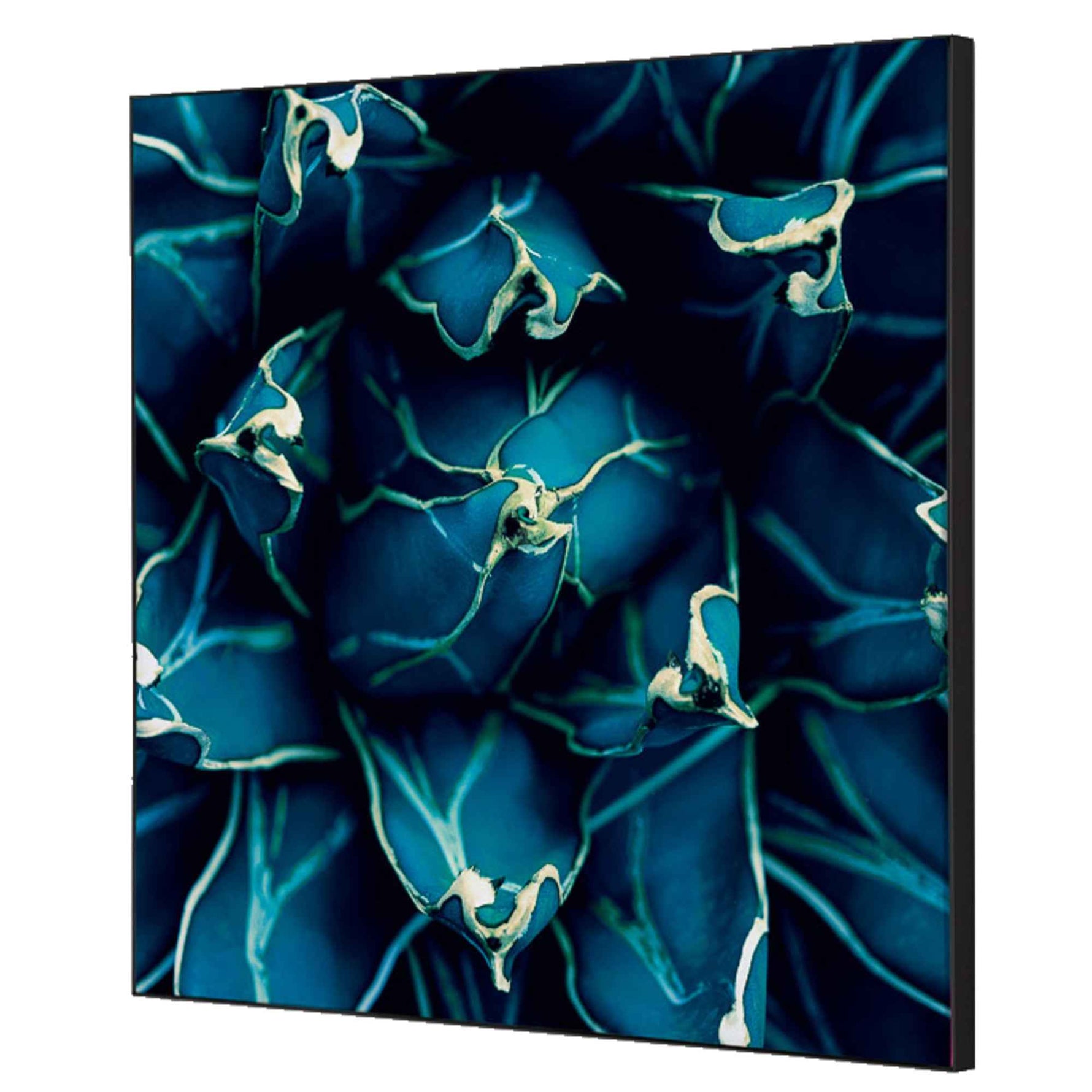 Showdown® Displays Dekobild 40 x 40 cm (B x H) Kaktus – Produktbild 6