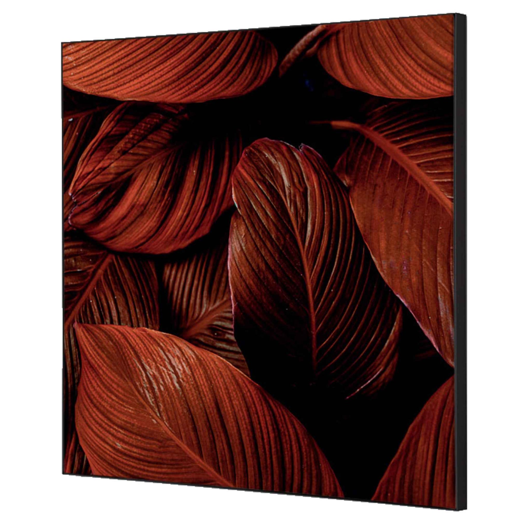 Showdown® Displays Dekobild 40 x 40 cm (B x H) Botanische Blätter – Produktbild 2