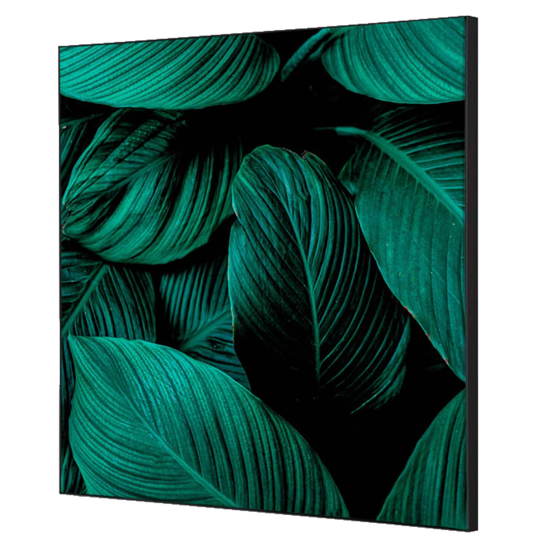 Showdown® Displays Dekobild 40 x 40 cm (B x H) Botanische Blätter – Produktbild 6
