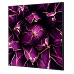 Showdown® Displays Dekobild 40 x 40 cm (B x H) Kaktus – Produktbild 4